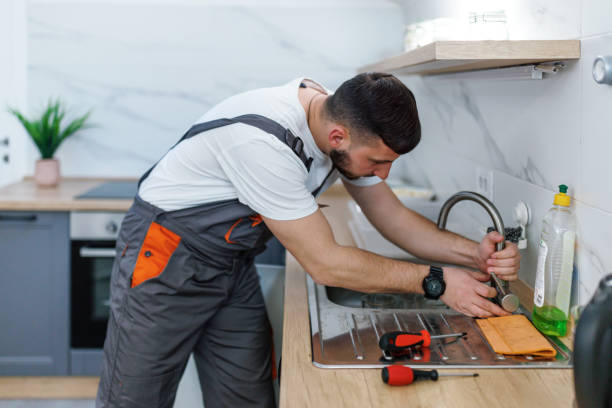 Best Local Plumber Services  in Sunman, IN