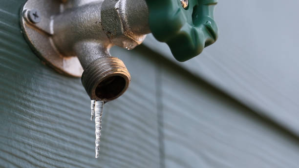Best Plumbing Services Near Me  in Sunman, IN